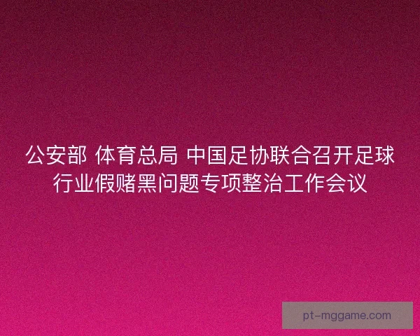 公安部 体育总局 中国足协联合召开足球行业假赌黑问题专项整治工作会议