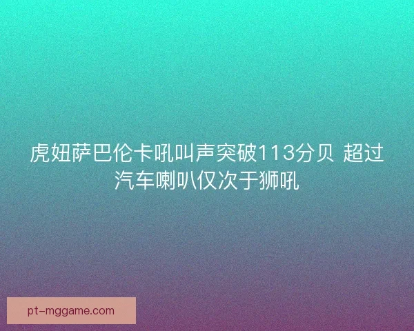 虎妞萨巴伦卡吼叫声突破113分贝 超过汽车喇叭仅次于狮吼 虎妞萨巴伦卡吼叫声突破113分贝 超过汽车喇叭仅次于狮吼